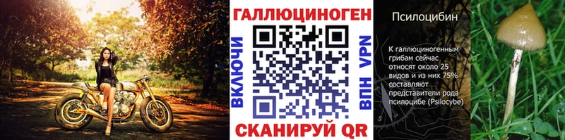 хочу наркоту Кондрово Псилоцибиновые грибы Cubensis